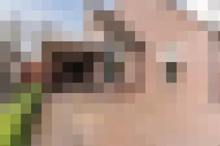 De Kattenberg 15 Bergeijk thumbnail 52
