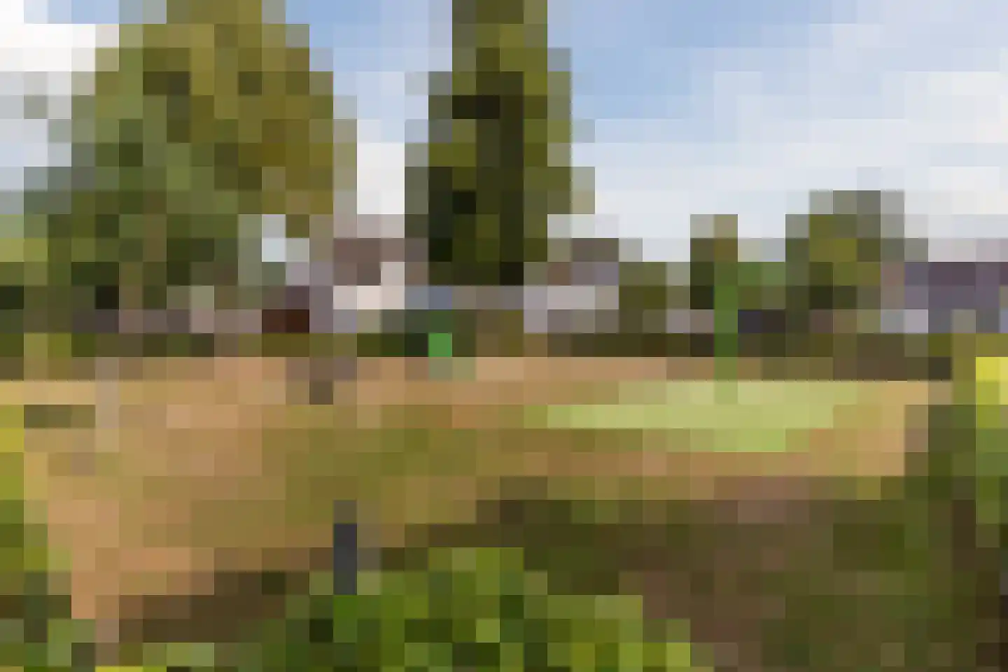 De Kattenberg 15 Bergeijk thumbnail 55