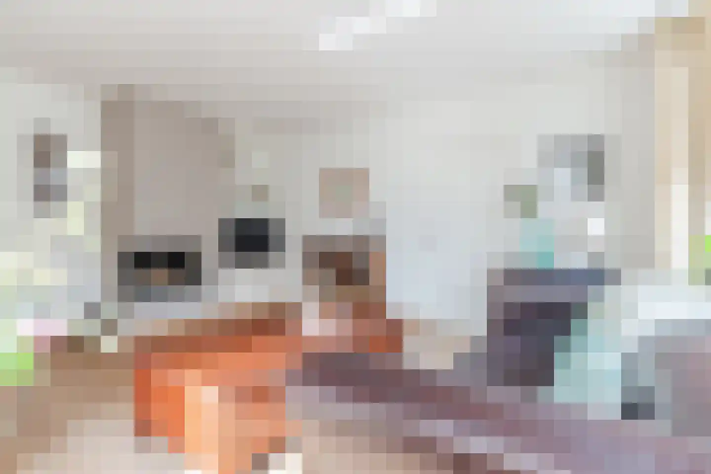 De Kattenberg 15 Bergeijk thumbnail 8