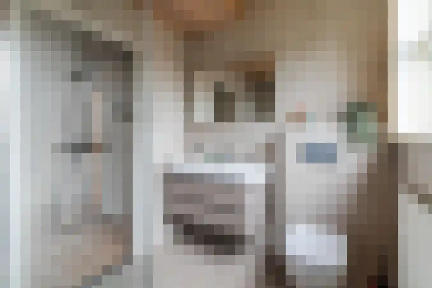 De Kattenberg 25 Bergeijk thumbnail 31