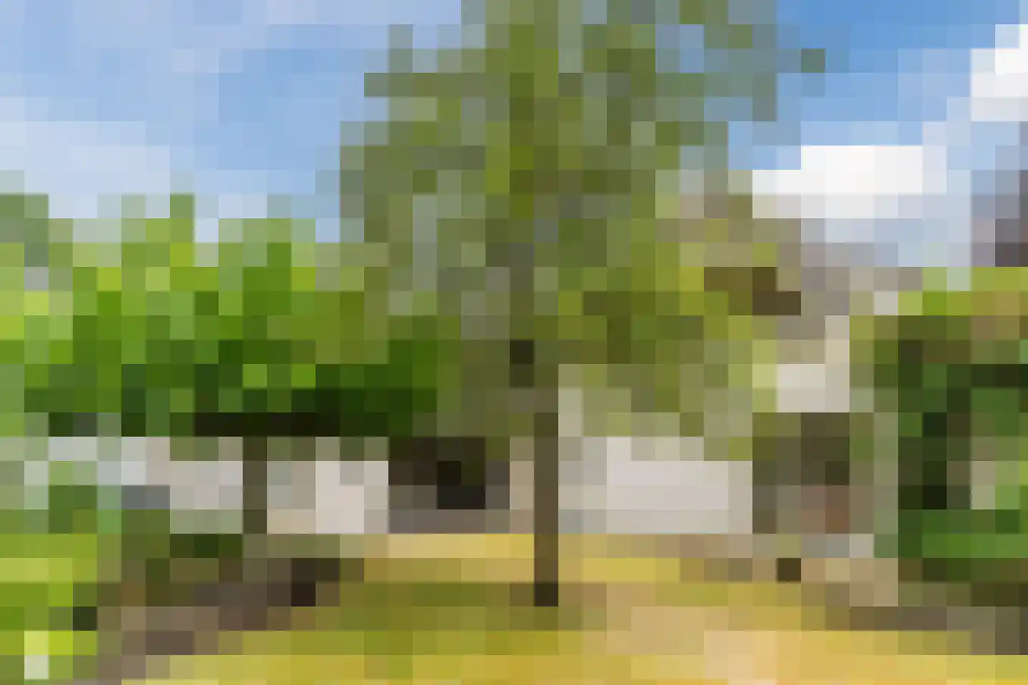 De Kattenberg 25 Bergeijk thumbnail 34