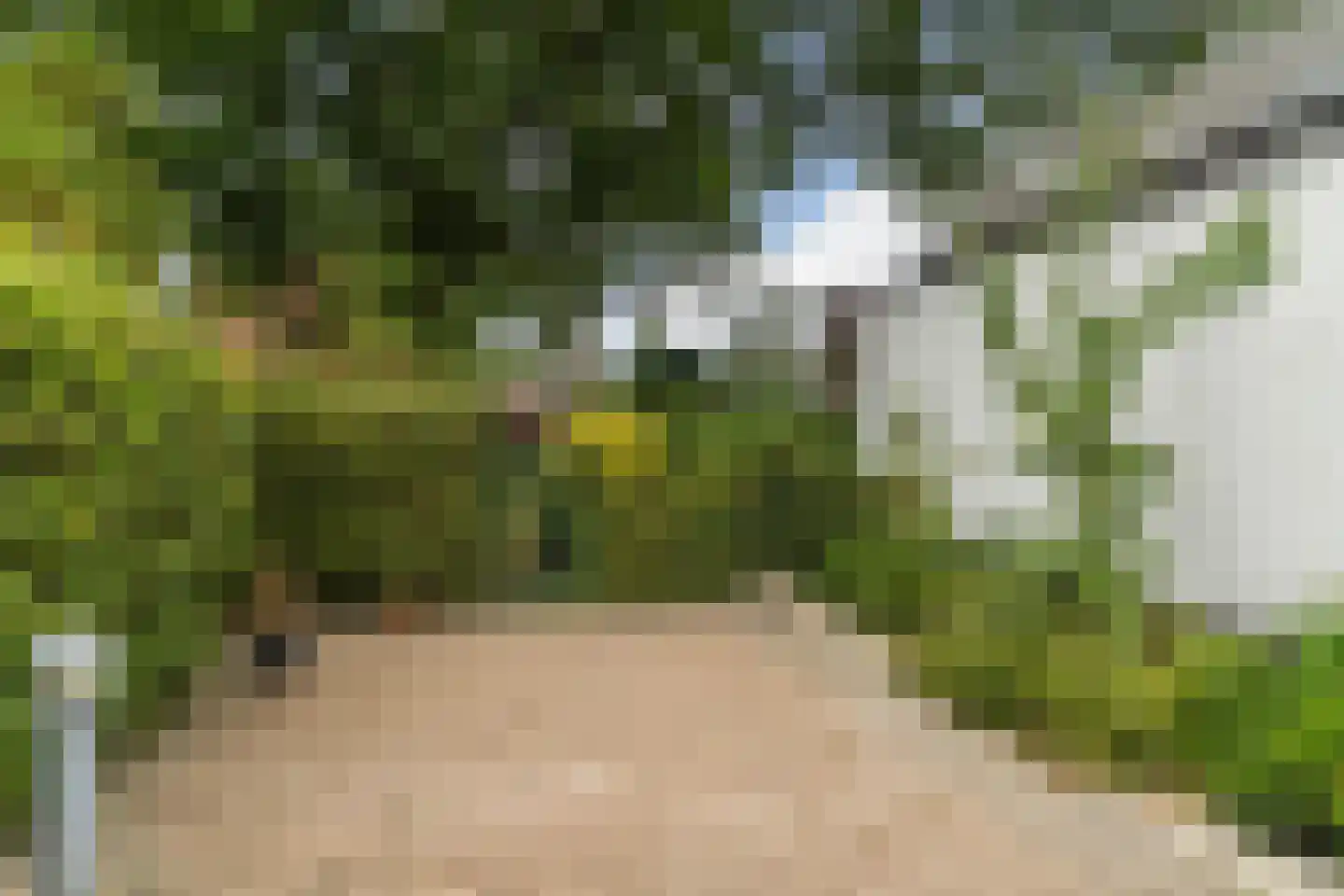 De Kattenberg 25 Bergeijk thumbnail 39