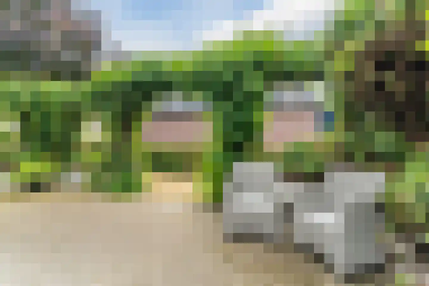 De Kattenberg 25 Bergeijk thumbnail 41