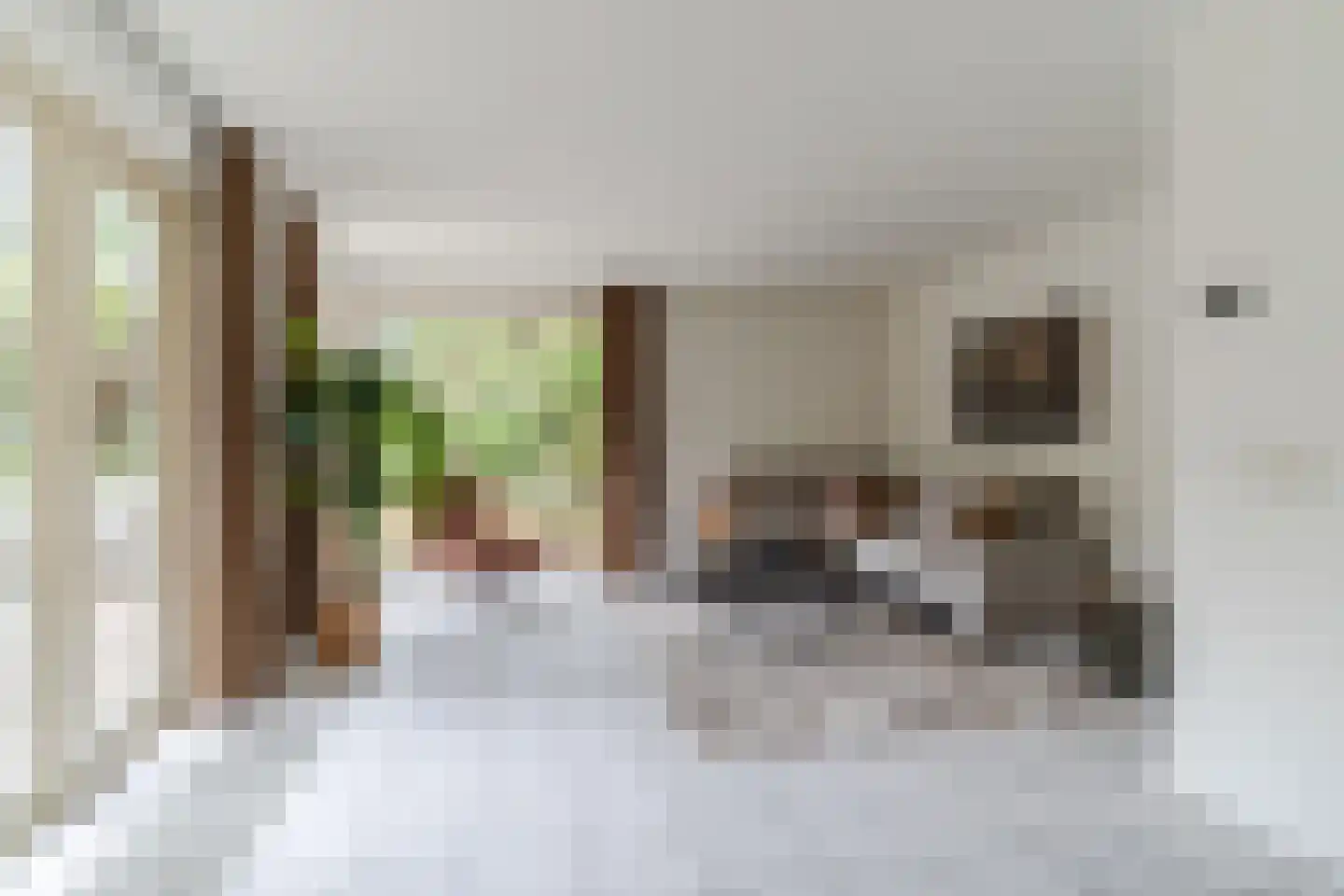 De Kattenberg 25 Bergeijk thumbnail 6