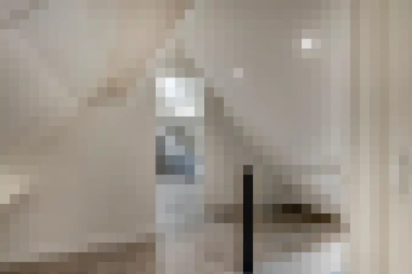 De Kattenberg 4 Bergeijk thumbnail 33