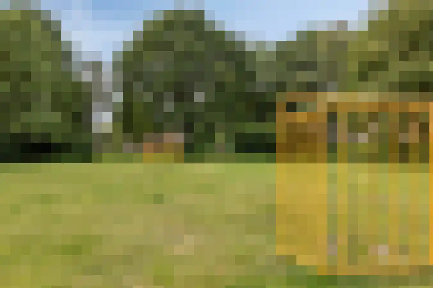 De Kattenberg 4 Bergeijk thumbnail 43