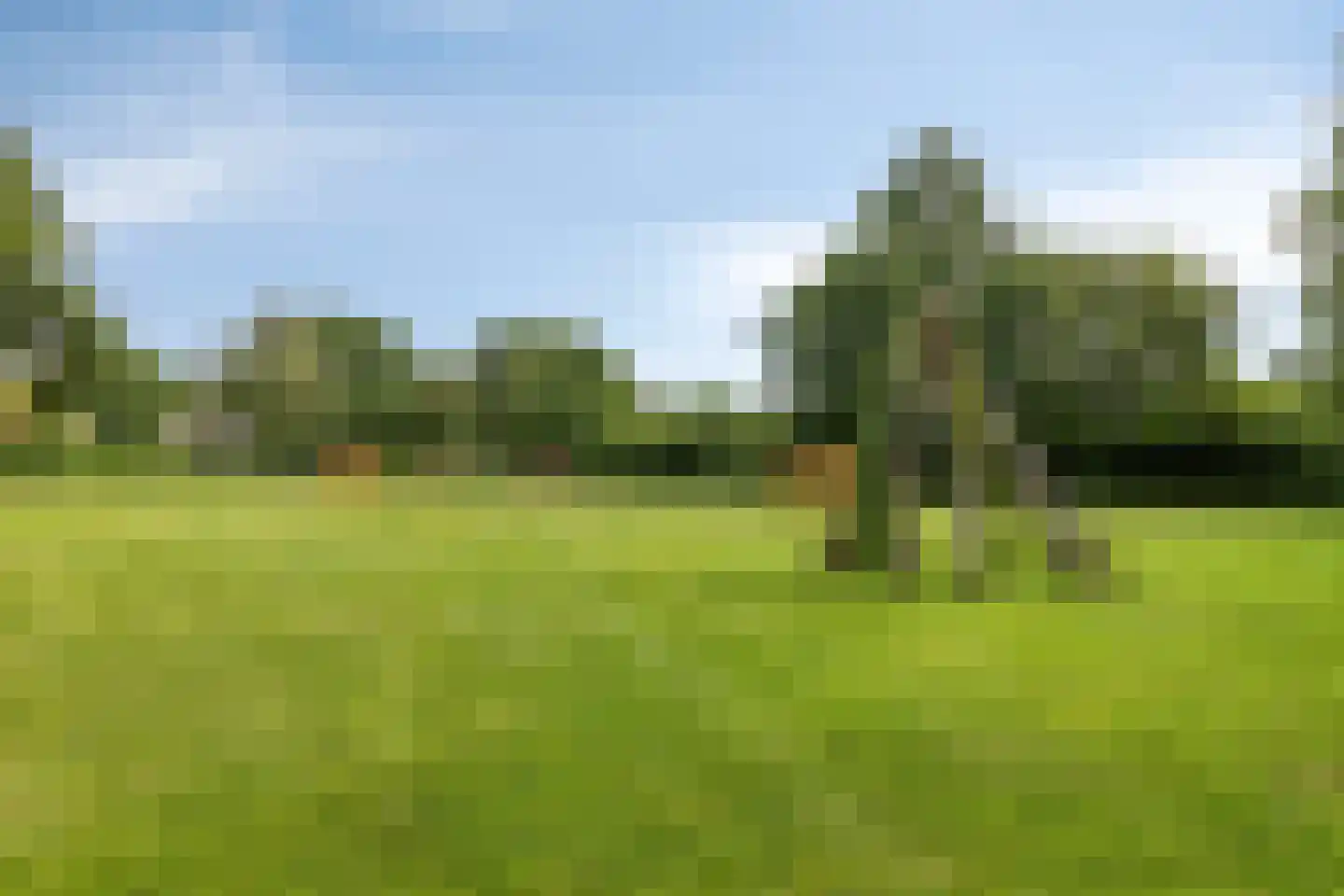De Kattenberg 4 Bergeijk thumbnail 45