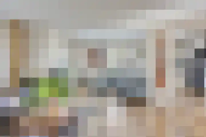 De Katuil 1 Waarland thumbnail 13