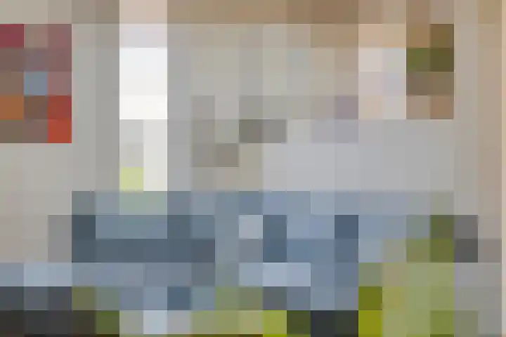 De Katuil 1 Waarland thumbnail 15