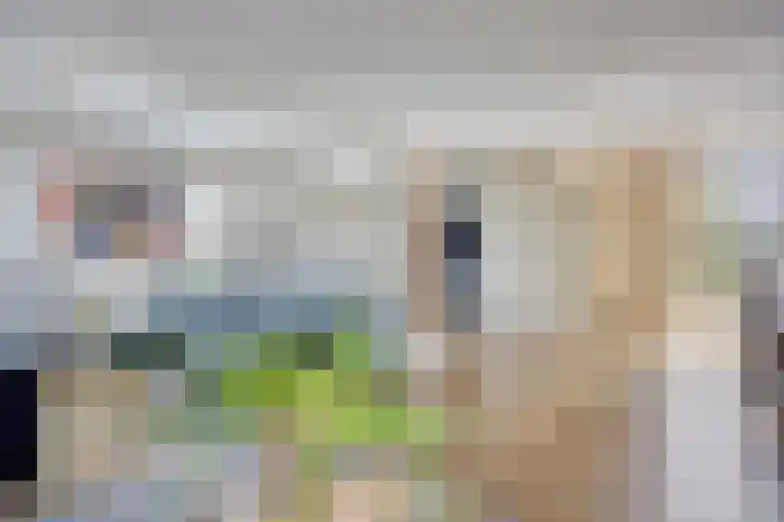 De Katuil 1 Waarland thumbnail 17