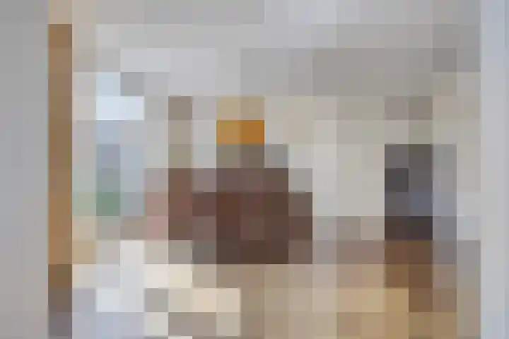 De Katuil 1 Waarland thumbnail 18