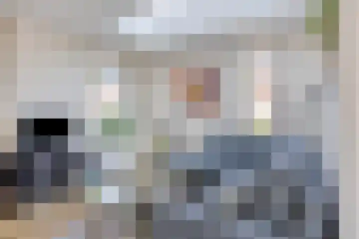 De Katuil 1 Waarland thumbnail 19