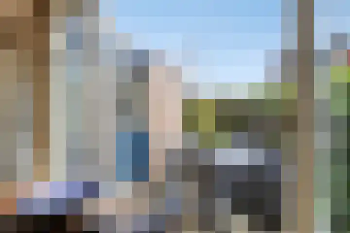 De Katuil 1 Waarland thumbnail 23