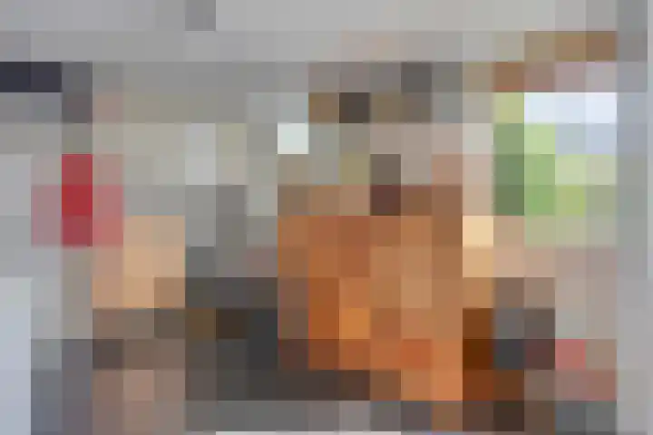De Katuil 1 Waarland thumbnail 24