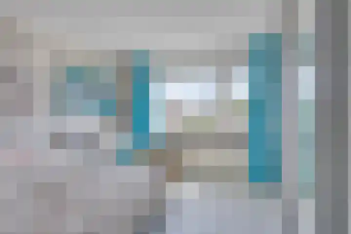 De Katuil 1 Waarland thumbnail 29