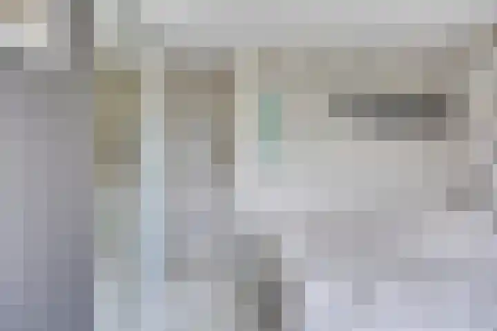 De Katuil 1 Waarland thumbnail 30