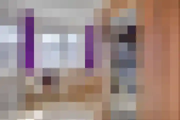 De Katuil 1 Waarland thumbnail 31