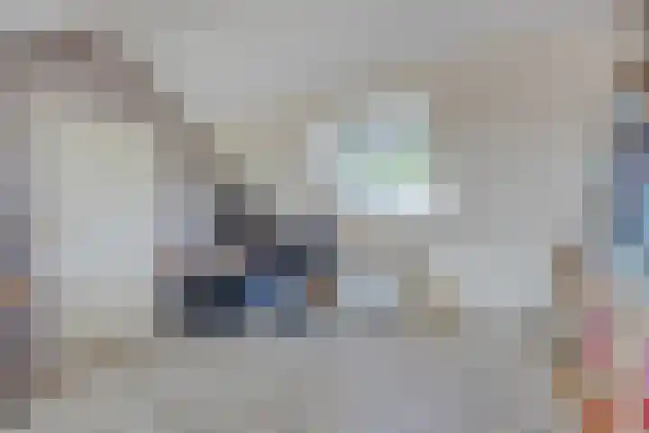 De Katuil 1 Waarland thumbnail 34