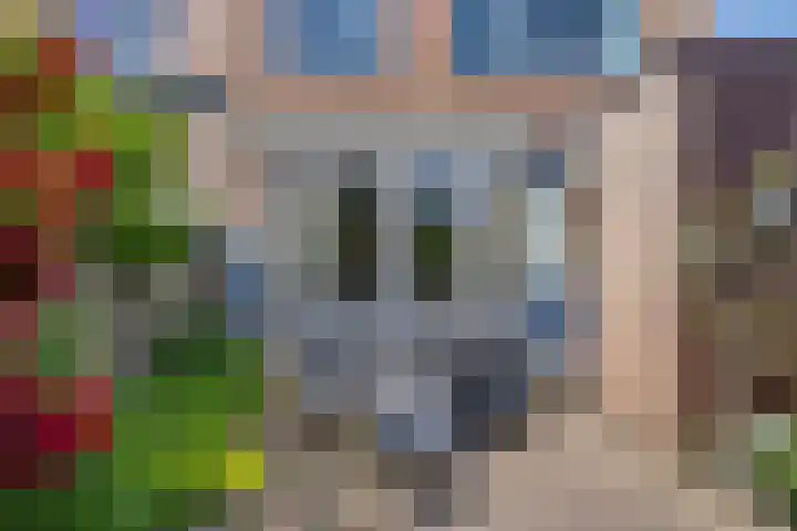 De Katuil 1 Waarland thumbnail 36