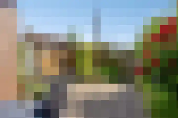 De Katuil 1 Waarland thumbnail 37