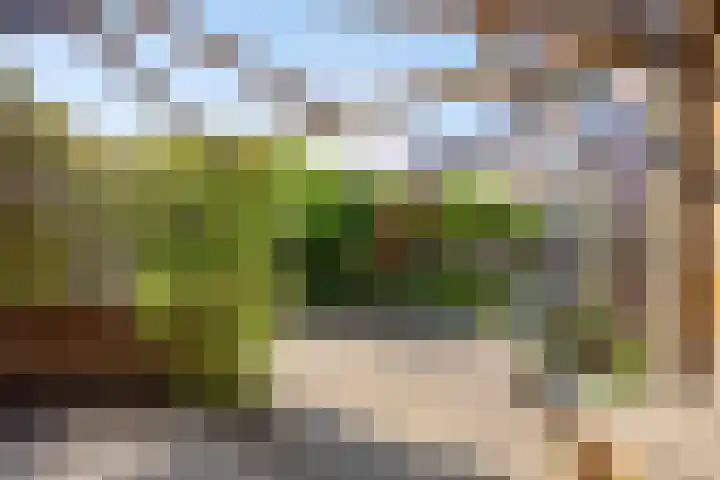 De Katuil 1 Waarland thumbnail 38