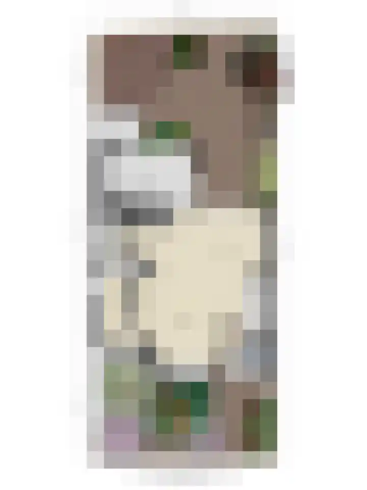 De Katuil 1 Waarland thumbnail 39