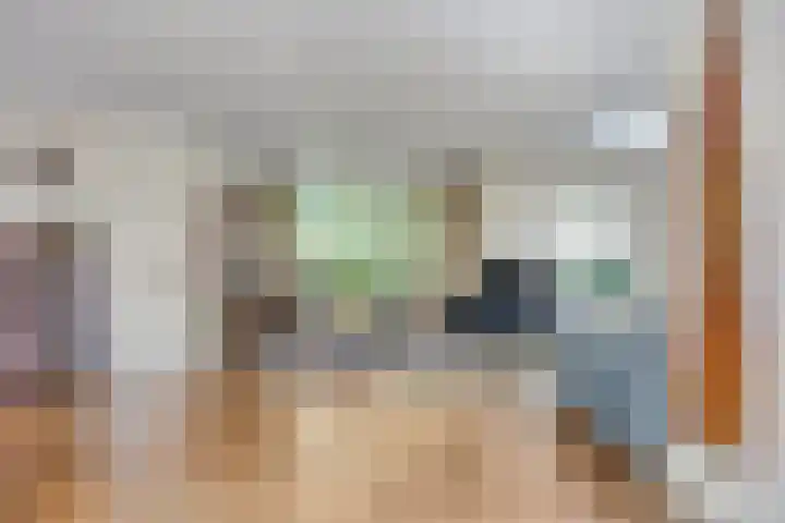 De Katuil 1 Waarland thumbnail 4