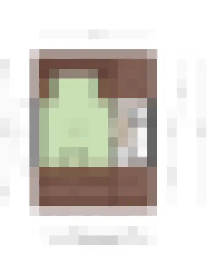 De Katuil 1 Waarland thumbnail 42