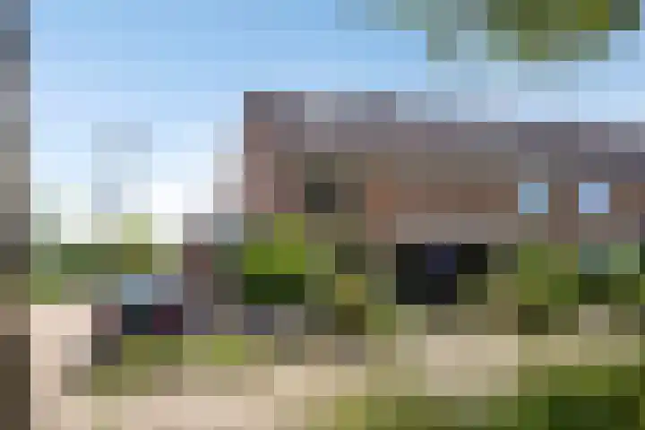 De Katuil 1 Waarland thumbnail 5
