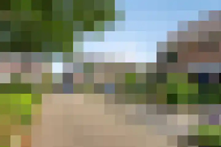 De Katuil 1 Waarland thumbnail 8