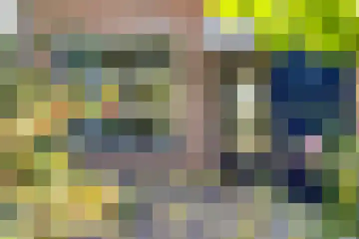 De Katuil 1 Waarland thumbnail 9