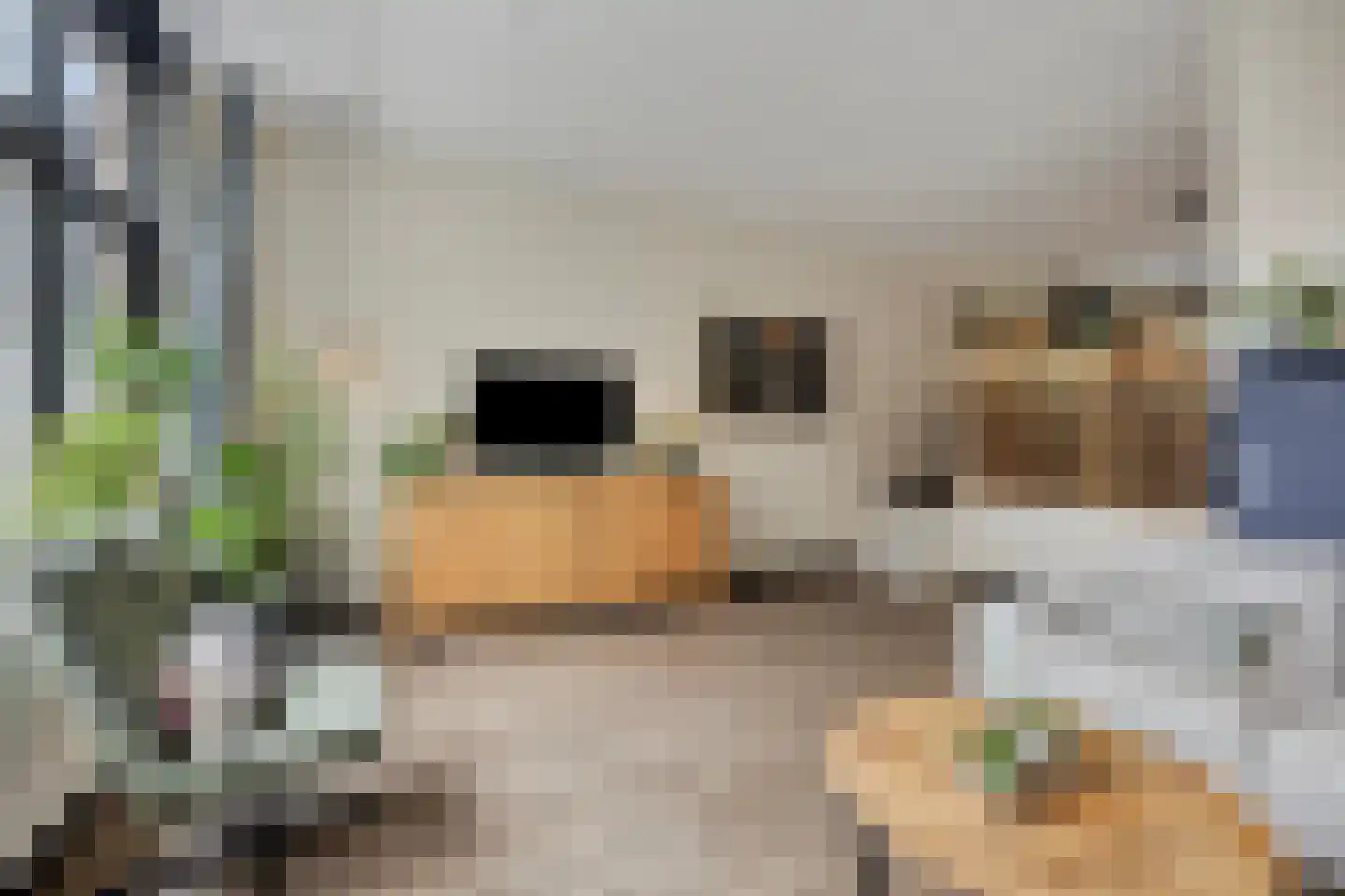 de Kaukasus 14 Emmeloord thumbnail 10