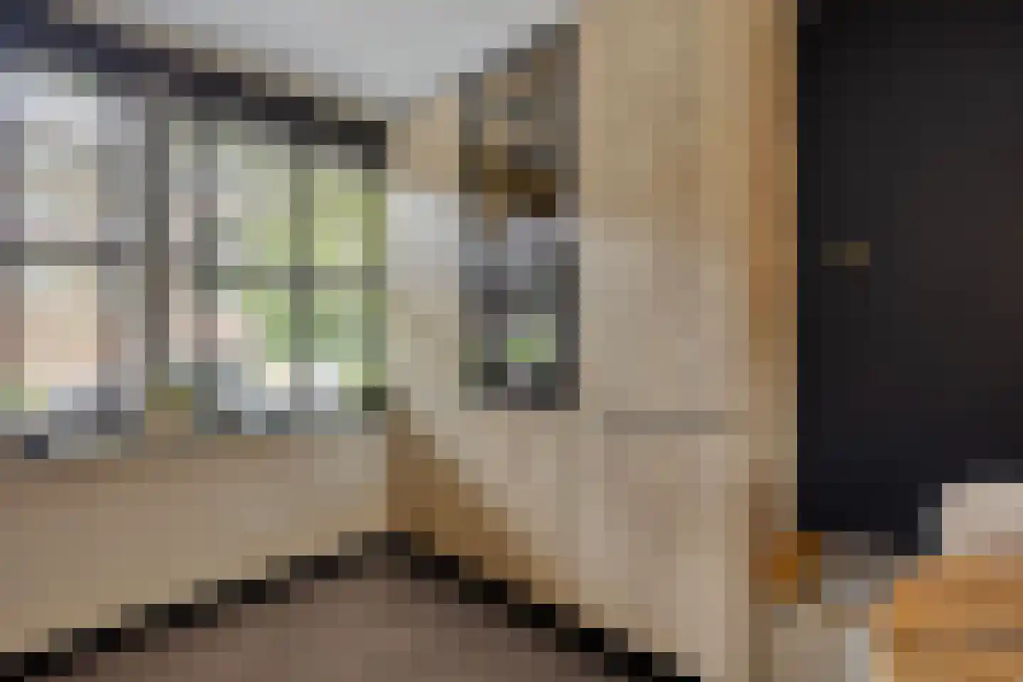 de Kaukasus 14 Emmeloord thumbnail 11