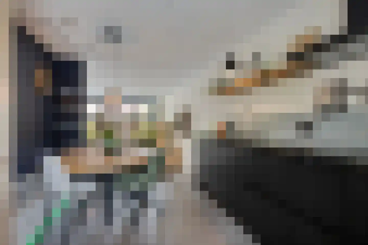 de Kaukasus 14 Emmeloord thumbnail 12