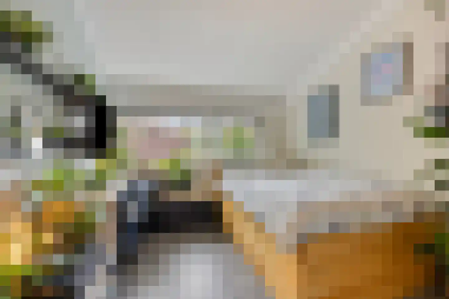 de Kaukasus 14 Emmeloord thumbnail 29