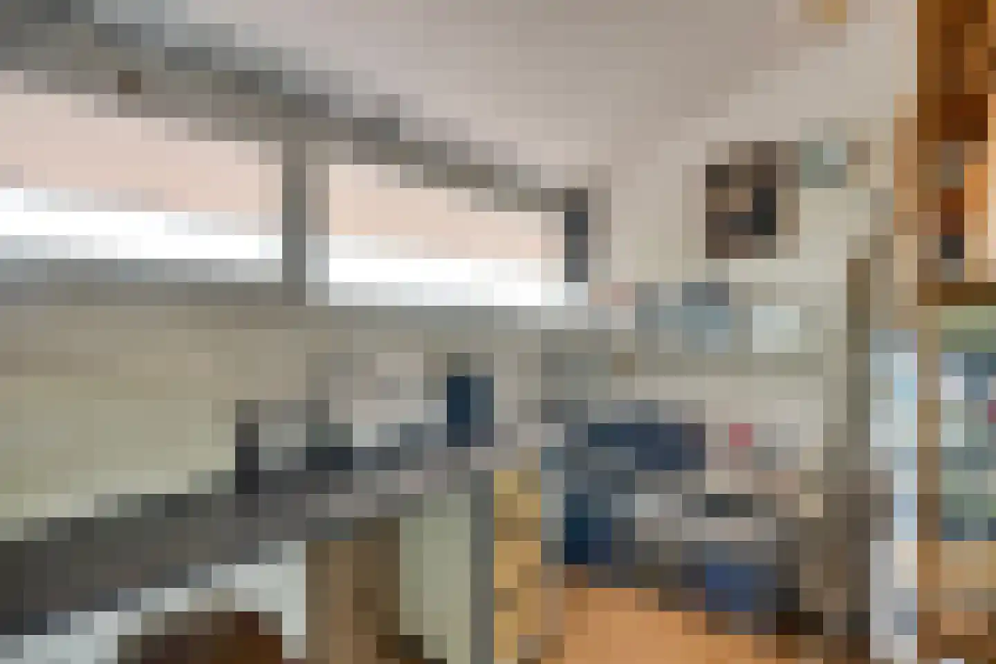de Kaukasus 14 Emmeloord thumbnail 33
