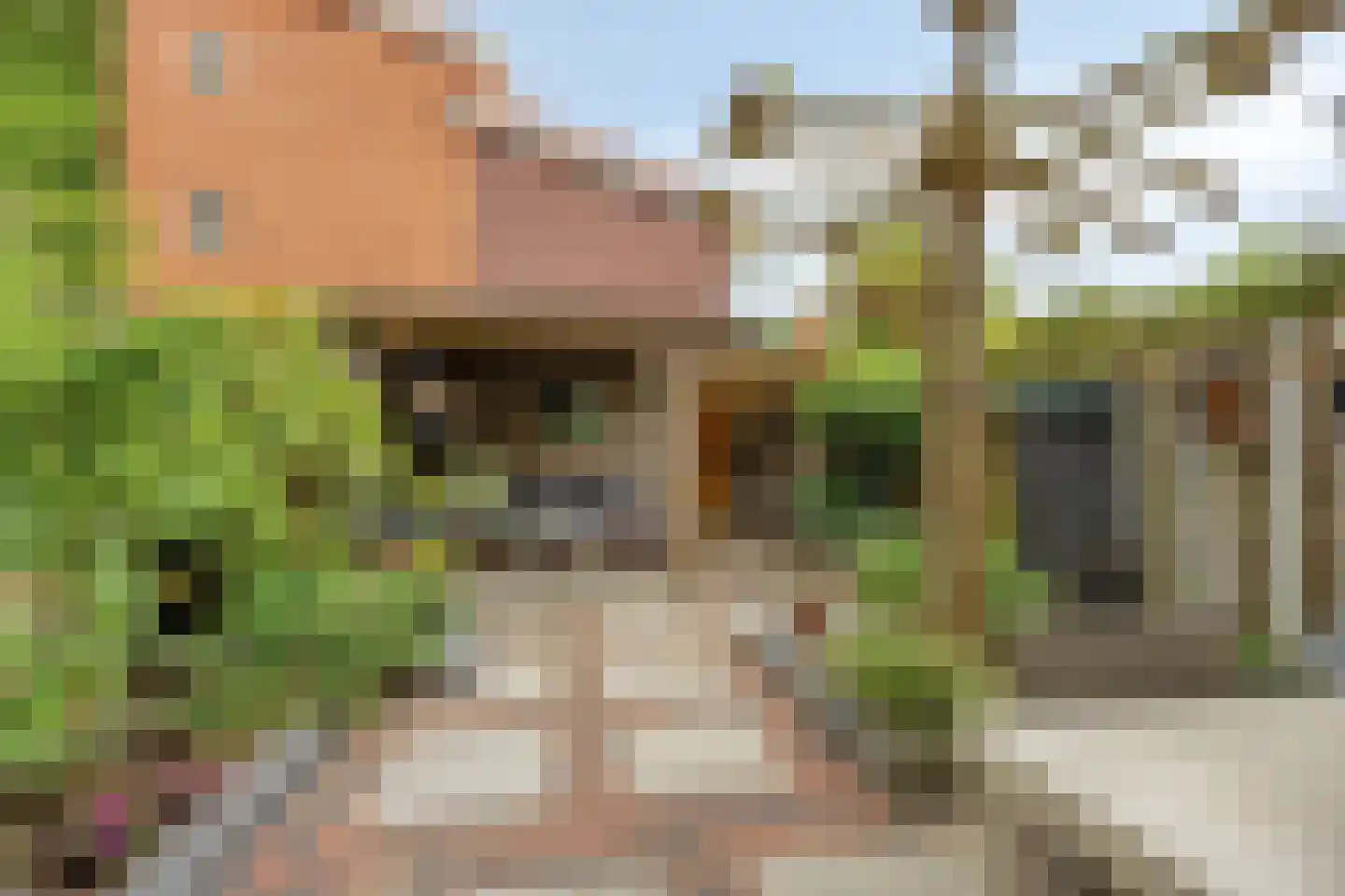 de Kaukasus 14 Emmeloord thumbnail 40