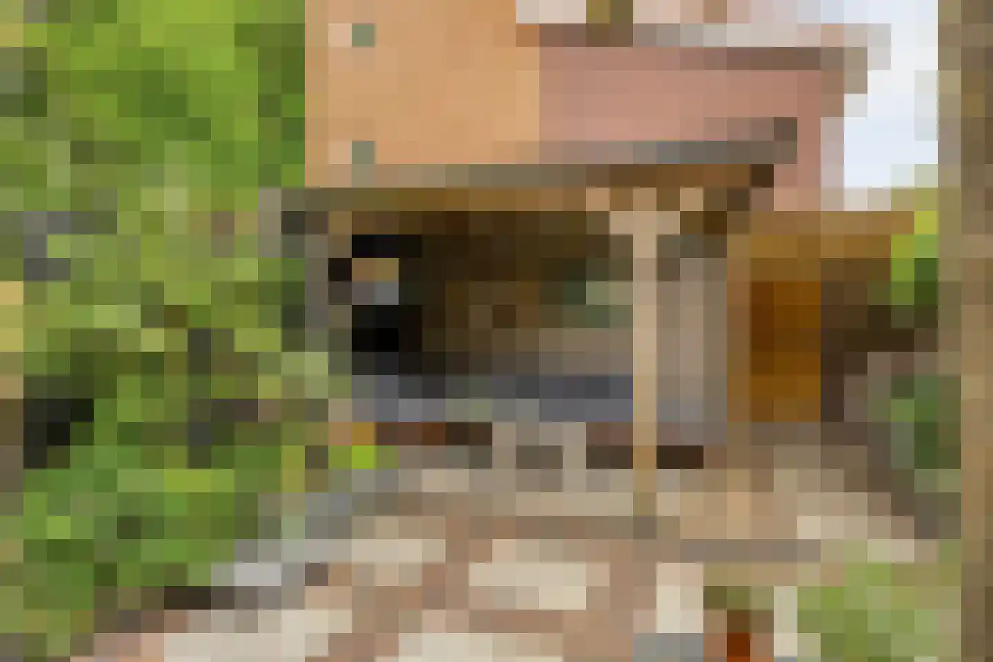 de Kaukasus 14 Emmeloord thumbnail 41