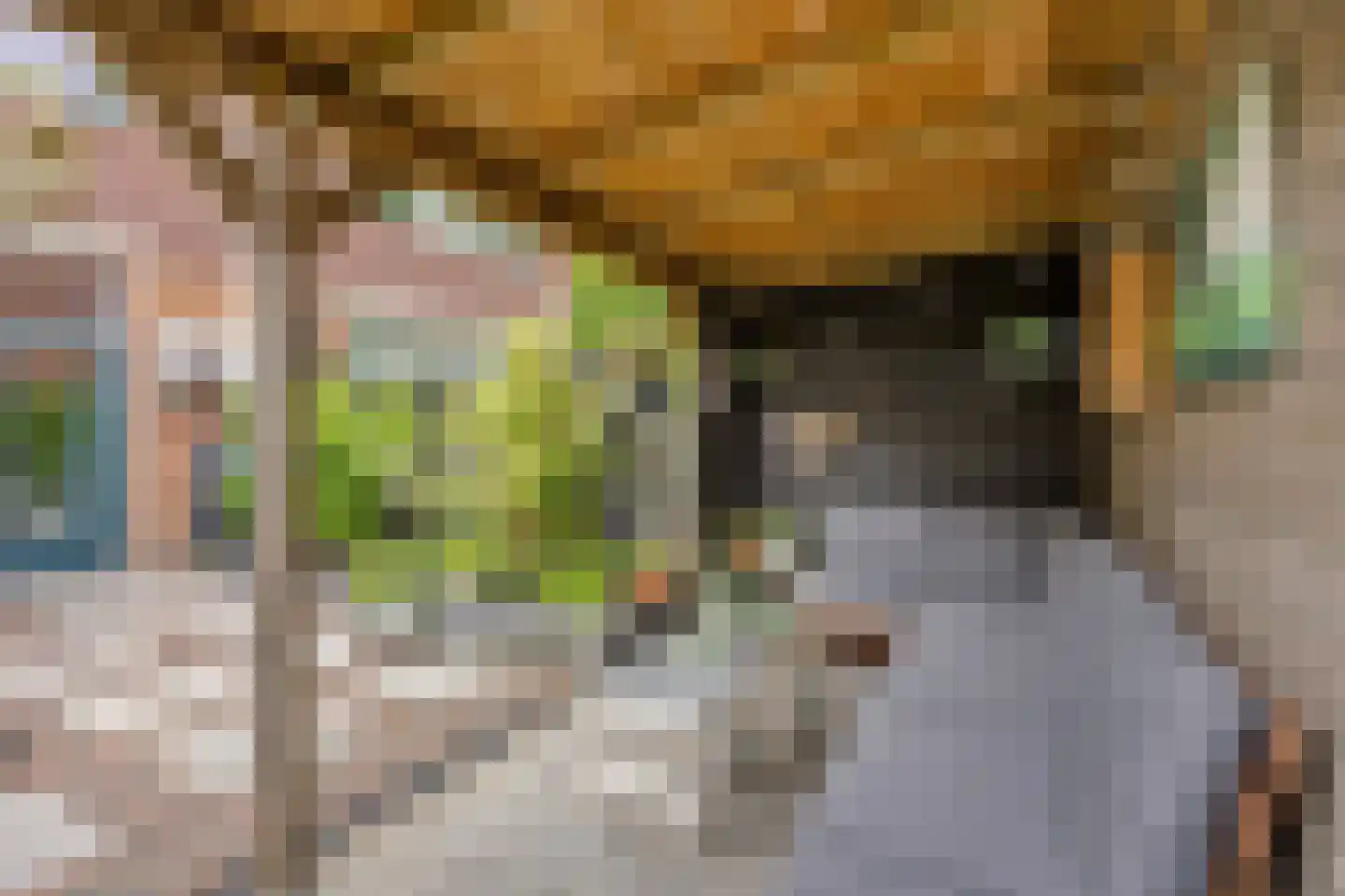 de Kaukasus 14 Emmeloord thumbnail 43