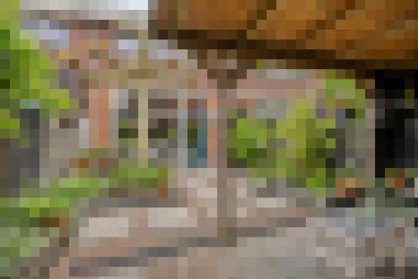 de Kaukasus 14 Emmeloord thumbnail 44