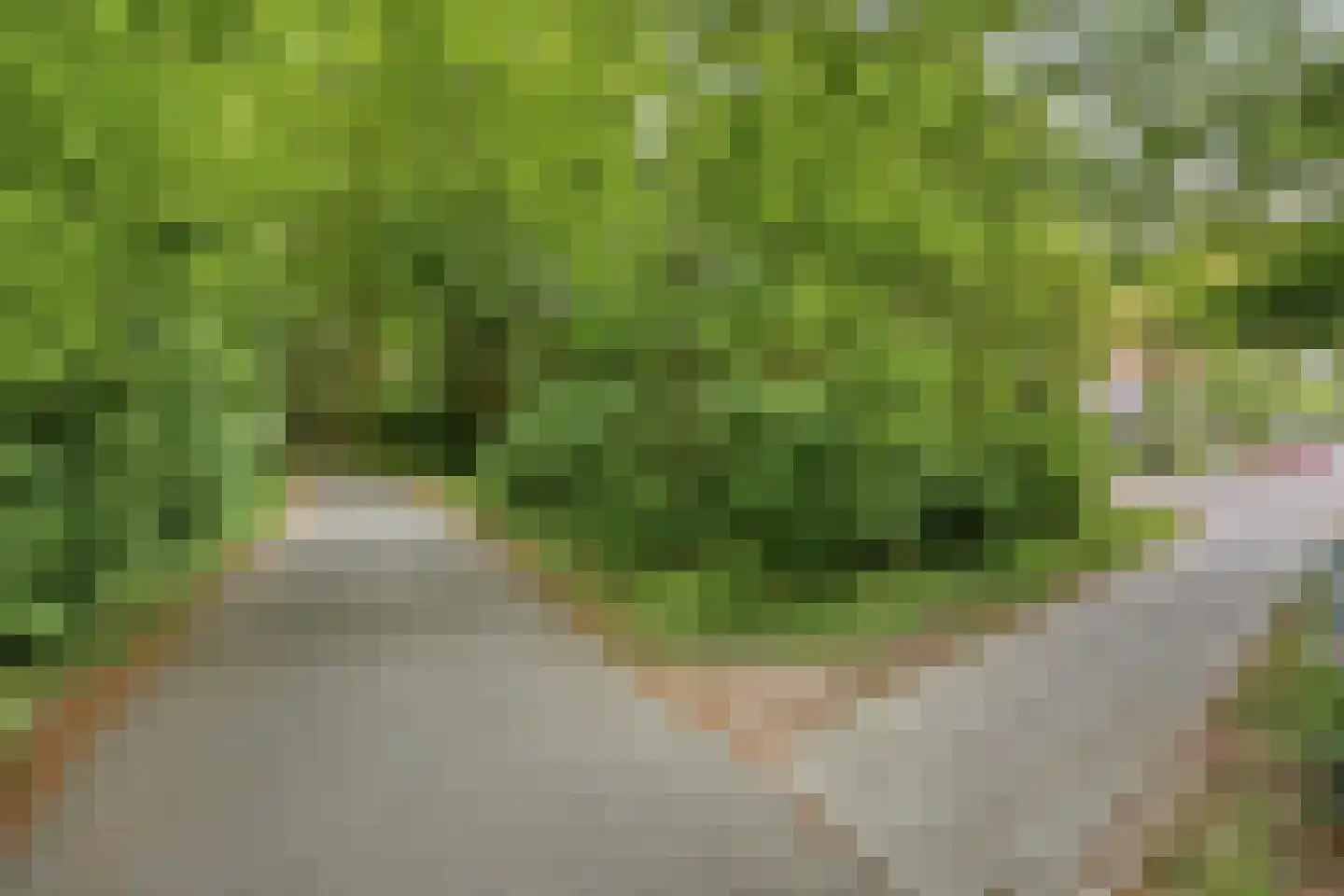 de Kaukasus 14 Emmeloord thumbnail 49