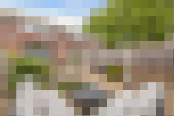 de Kaukasus 46 Emmeloord thumbnail 31