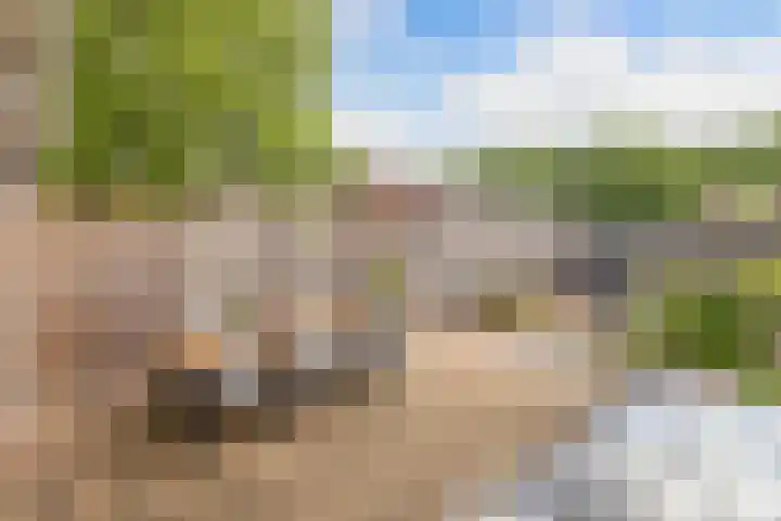 de Kaukasus 46 Emmeloord thumbnail 33