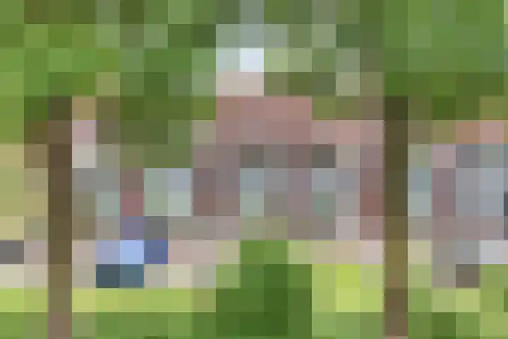 de Kaukasus 46 Emmeloord thumbnail 40