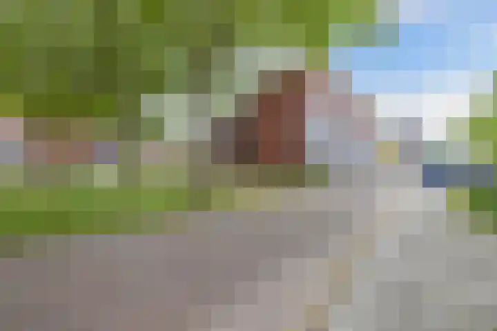 de Kaukasus 46 Emmeloord thumbnail 42