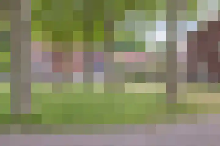 de Kaukasus 46 Emmeloord thumbnail 43