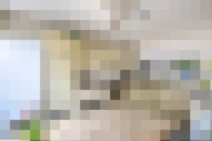 de Kaukasus 46 Emmeloord thumbnail 8