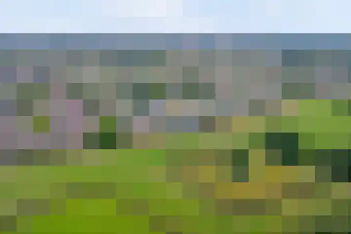 De Kazematten 28 Amersfoort thumbnail 29