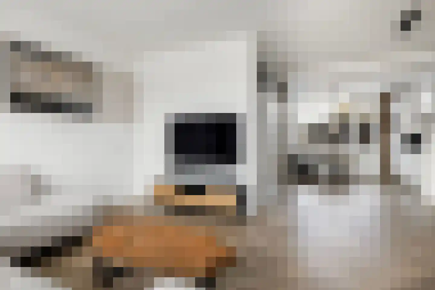 De Kearnstien 2 IJlst thumbnail 14