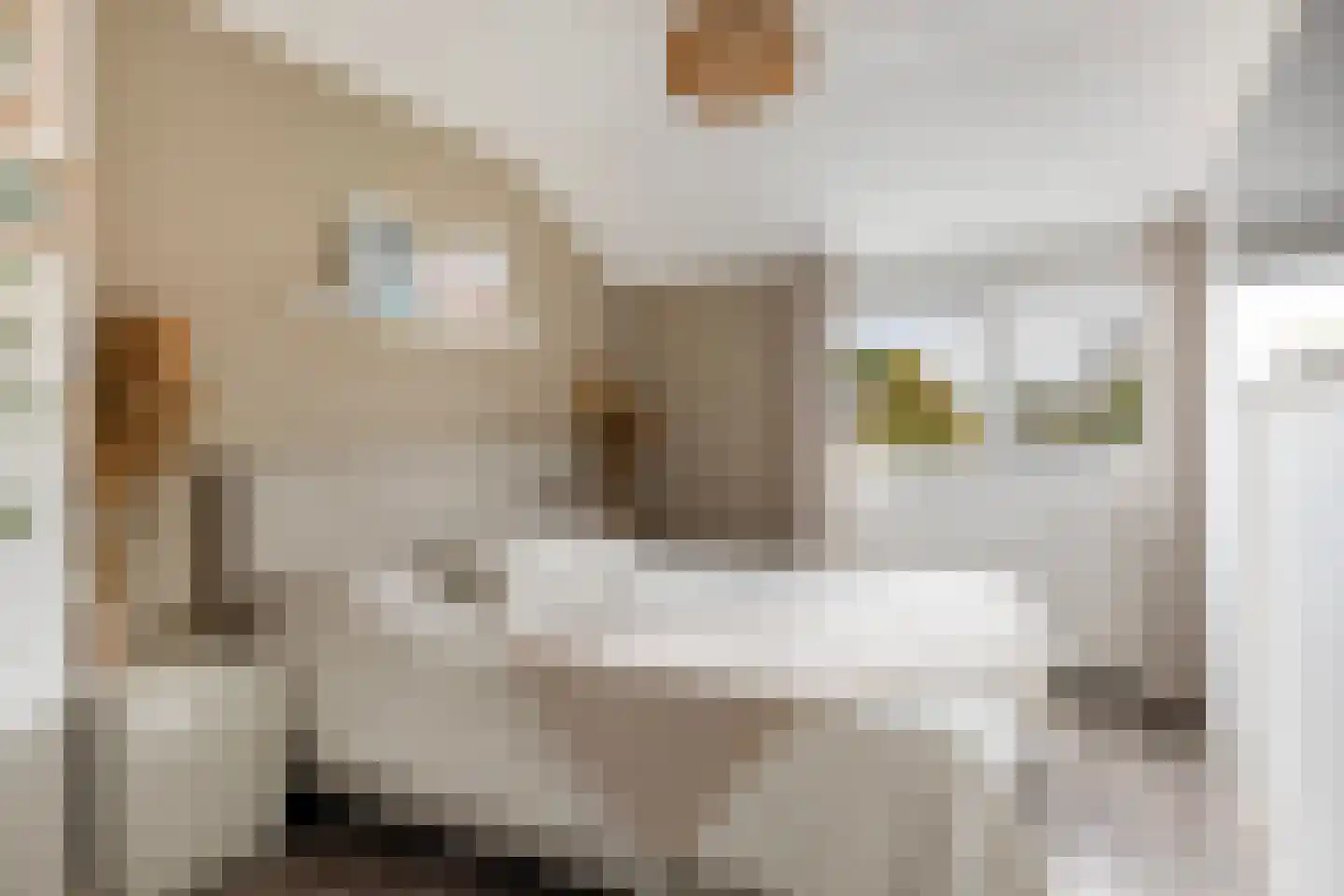 De Kearnstien 2 IJlst thumbnail 5